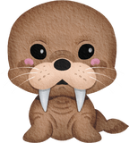 (s419-1-2C) Baby Walrus