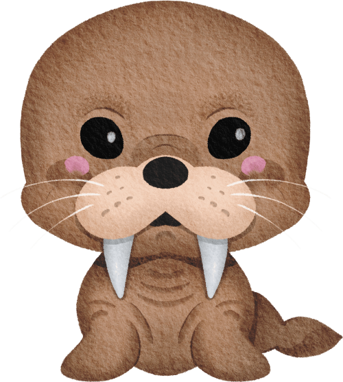 (s419-1-2C) Baby Walrus