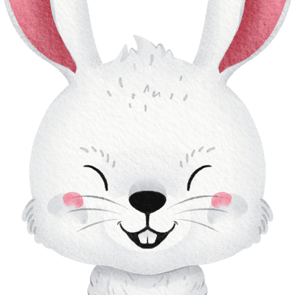 (s419-1-1C) Bunny Rabbit