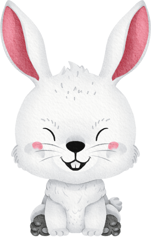 (s419-1-1C) Bunny Rabbit