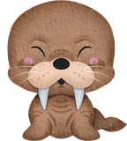 (s419-1-2C) Baby Walrus