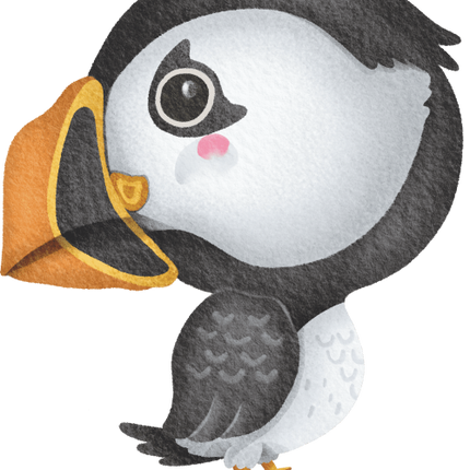 (419-1-1E) Baby Puffin