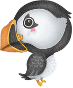 (s419-1-1E) Baby Puffin