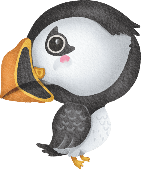 (s419-1-1E) Baby Puffin