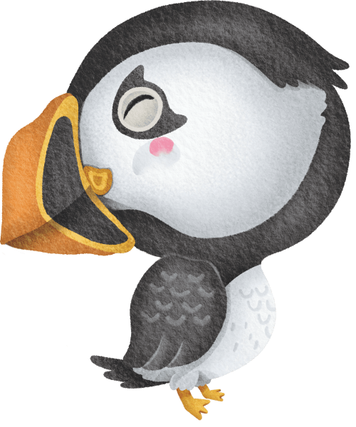 (s419-1-1E) Baby Puffin