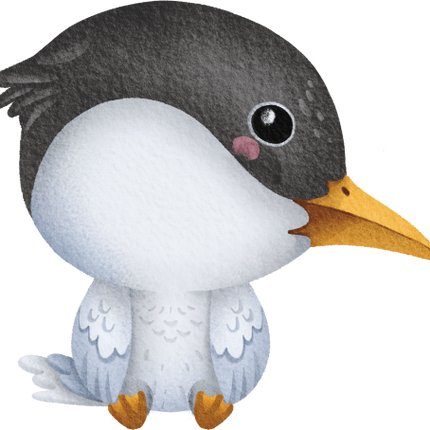 (419-1-1G) Baby Tern