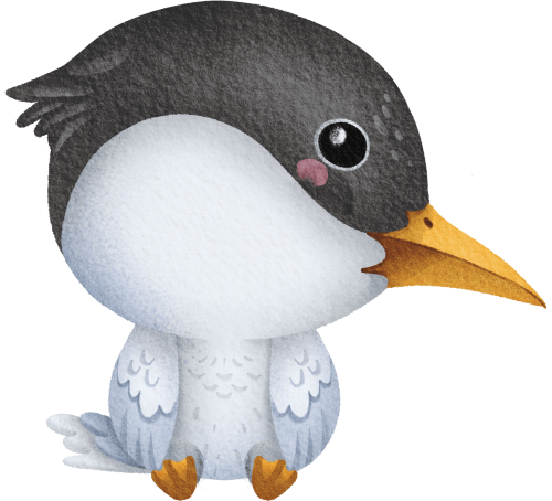 (s419-1-1G) Baby Tern