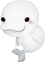 (s419-1-1K) Baby Beluga