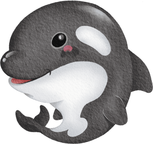 (s419-1-2K) Baby Orca Killer Whale