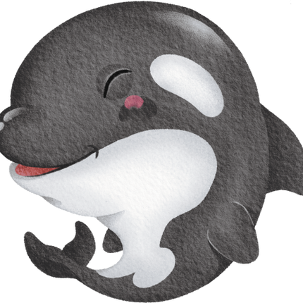 (s419-1-2K) Baby Orca Killer Whale