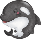 (s419-1-2K) Baby Orca Killer Whale