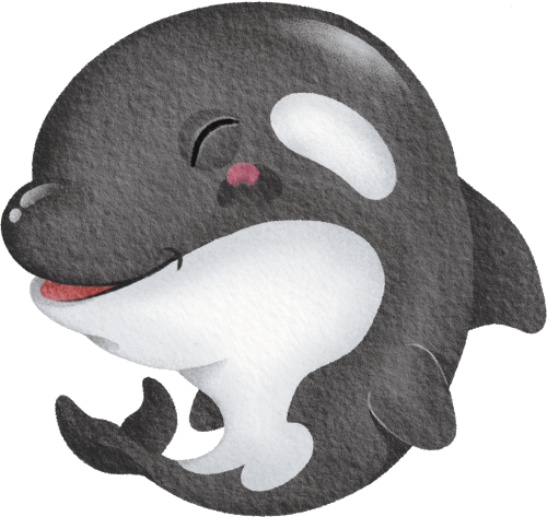 (s419-1-2K) Baby Orca Killer Whale