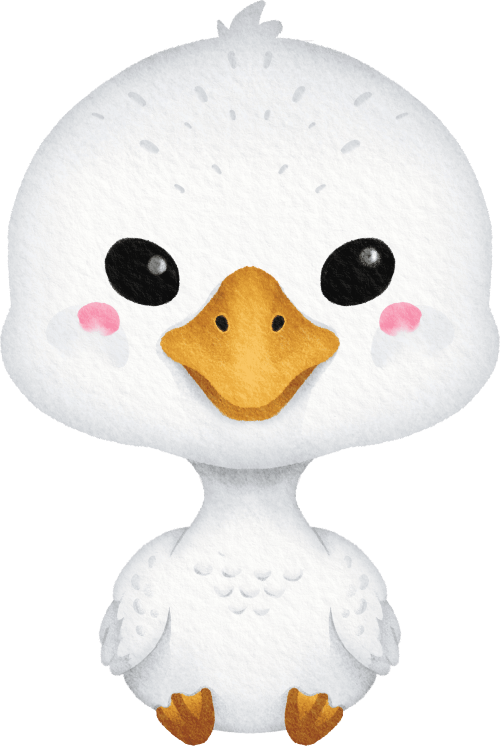 (s419-1-2S) Baby Snow Goose