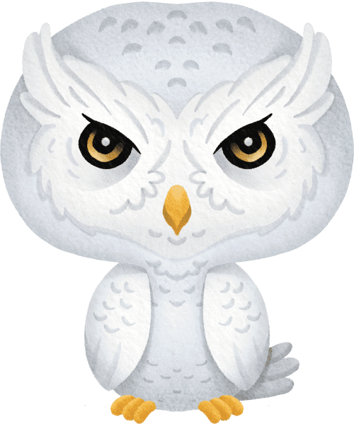 (s419-1-2U) Baby Snowy Owl