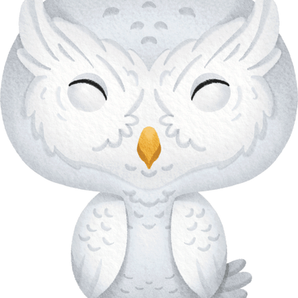 (s419-1-2U) Baby Snowy Owl
