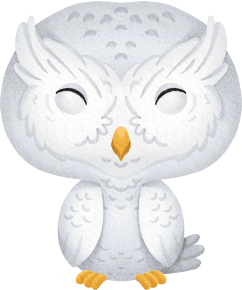 (s419-1-2U) Baby Snowy Owl