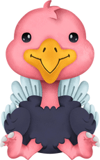 (s419-1-2O) Baby Ostrich