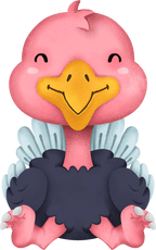 (s419-1-2O) Baby Ostrich