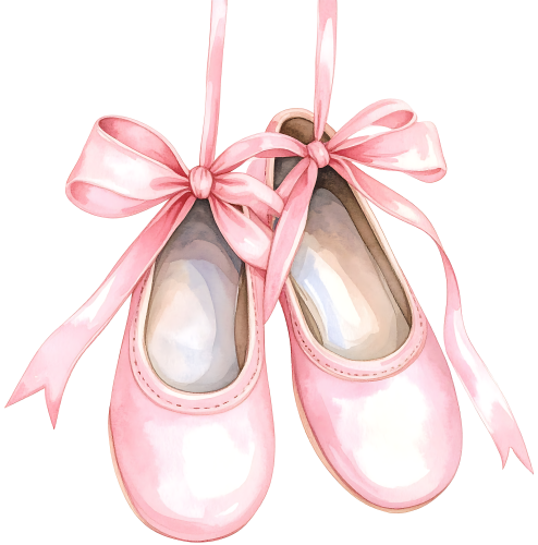 (042-01-M) Ballerina Ballet Slippers Pointe Shoes