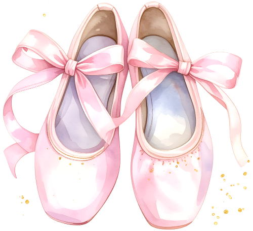 (042-01-N) Ballerina Ballet Slippers Pointe Shoes