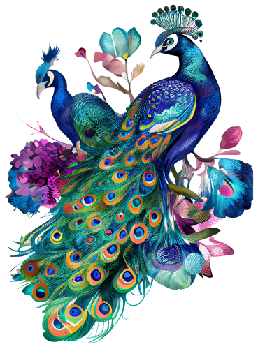 (s043-1-1Q) Peacock