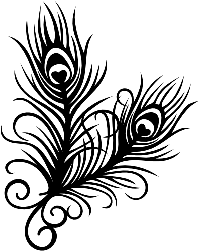 (s043-1B) Peacock Feathers Feather