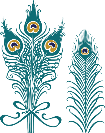 (s043-1-1D) Peacock Feathers