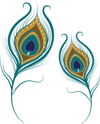 (s043-1-1E) Peacock Feathers