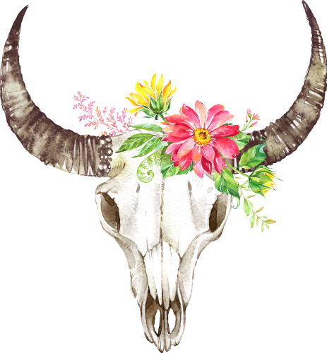 (s045-1-C) Cow Skull Sunflowers