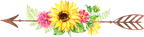 (s045-1-G) Watercolor Sunflowers Arrows Set or Single