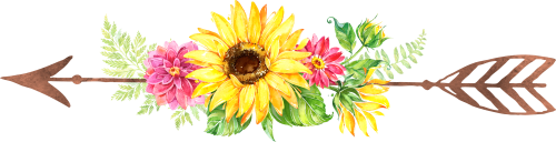 (s045-1-G) Watercolor Sunflowers Arrows Set or Single