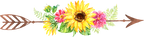 (s045-1-G) Watercolor Sunflowers Arrows Set or Single