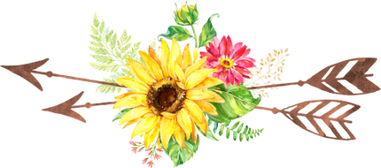 (s045-1-G) Watercolor Sunflowers Arrows Set or Single