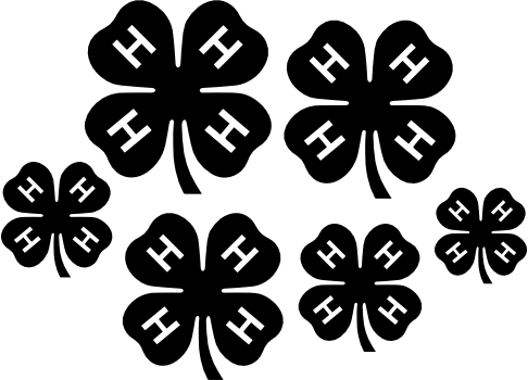 (046-01-I) 4-H Clover Set Assorted or Same Sizes