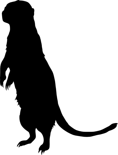 (s005-7-G) Meerkat Silhouette