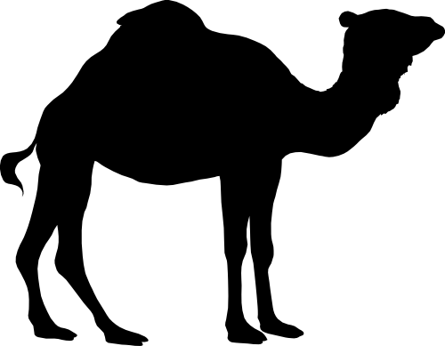 (005-06-A) Camel Silhouette