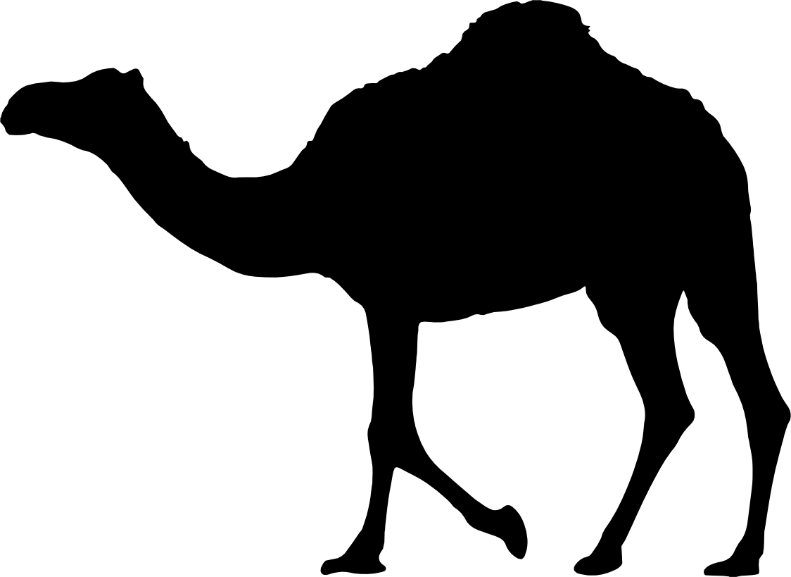 (s005-6-B) Camel Silhouette