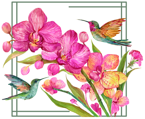 (052-F) Watercolor Orchids Hummingbird