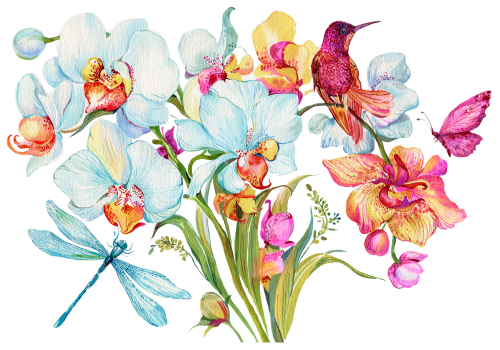 (052-G) Watercolor Orchids Hummingbird Dragonfly