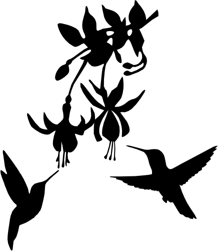 (s052-1-B) Hummingbird Flowers