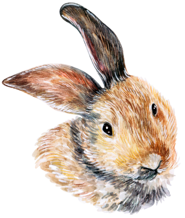 (s053-2-C) Watercolor Bunny Rabbit