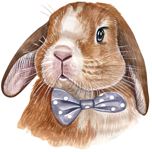 (s053-2-D) Watercolor Bunny Rabbit