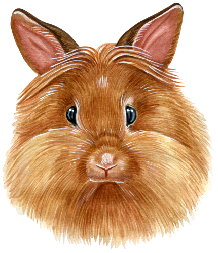 (s053-2-G) Watercolor Bunny Rabbit