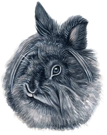 (s053-2-H) Watercolor Bunny Rabbit