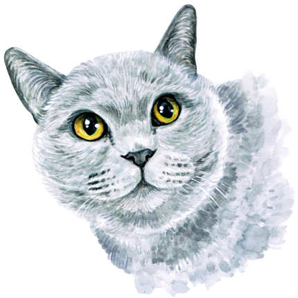 (s053-3-1B) Watercolor Cat Face