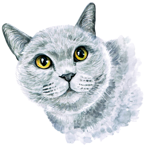 (s053-3-1B) Watercolor Cat Face