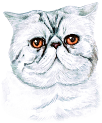 (s053-3-1C) Watercolor Cat Face