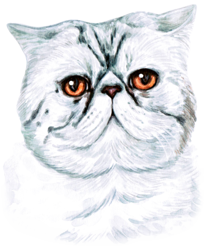 (s053-3-1C) Watercolor Cat Face