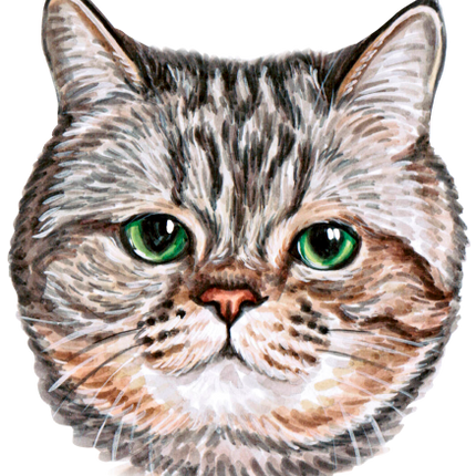 (s053-3-1D) Watercolor Cat Face