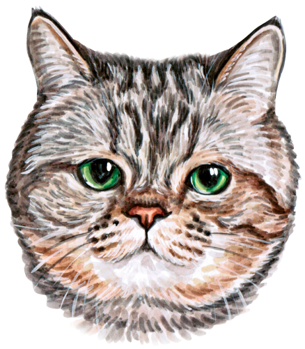 (s053-3-1D) Watercolor Cat Face